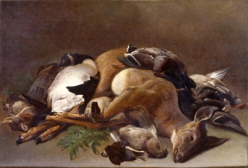 Selvaggina - New, York Historical Society